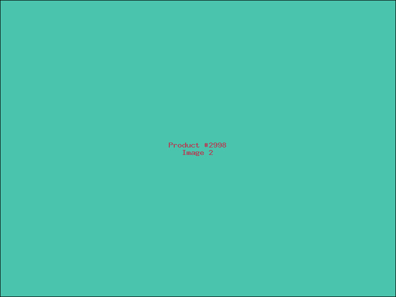 Example Product 2998 - Image 2