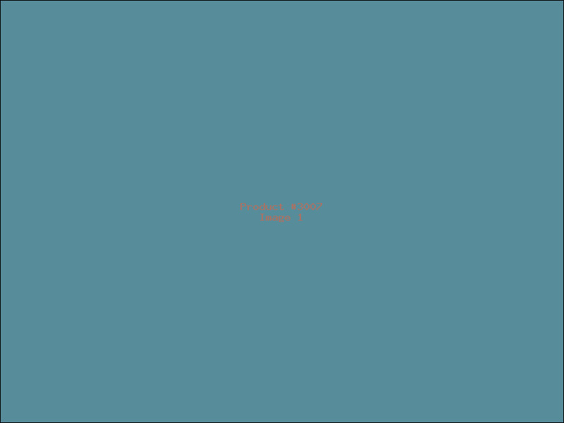 Example Product 3007