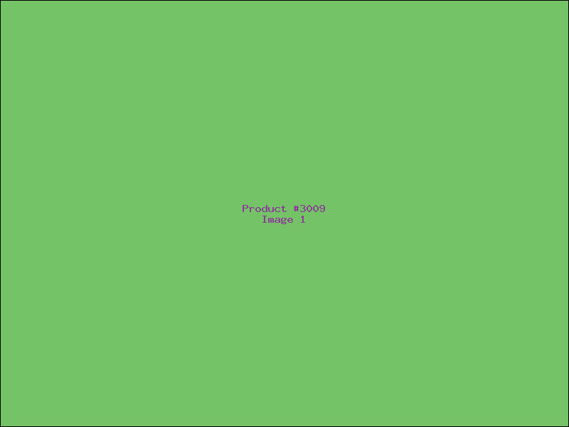 Example Product 3009