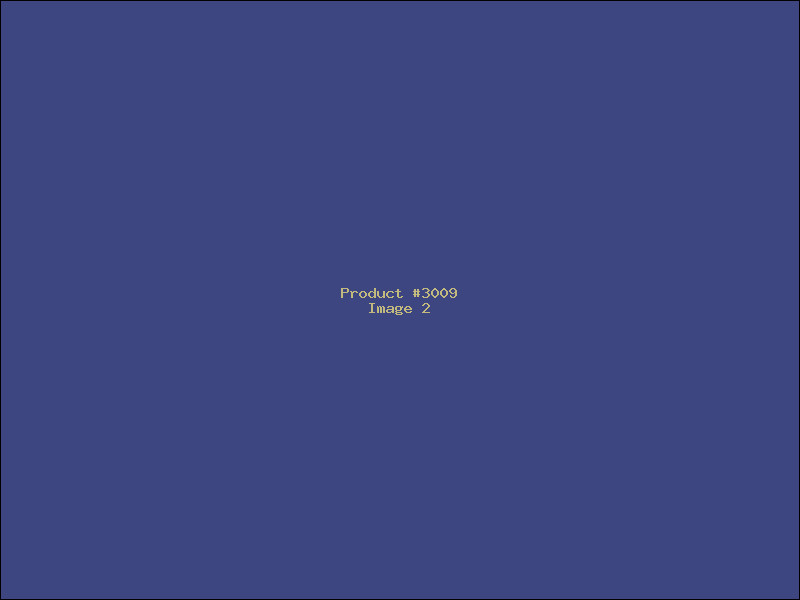 Example Product 3009 - Image 2