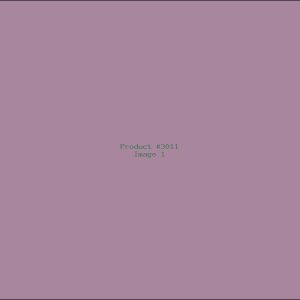 Example Product 3011
