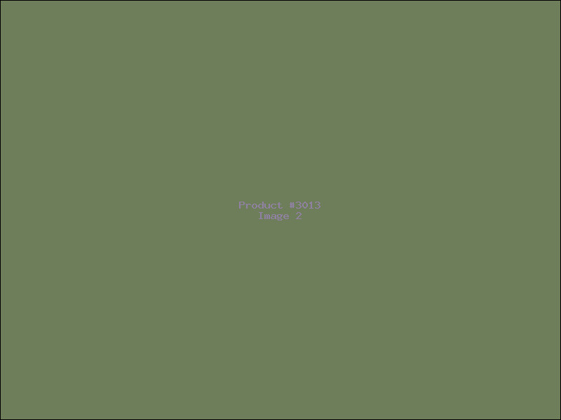 Example Product 3013 - Image 2