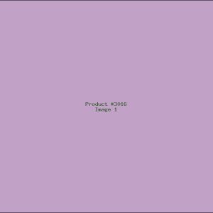 Example Product 3016