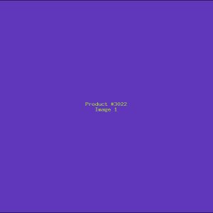 Example Product 3022