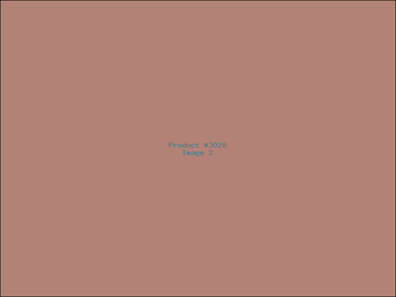 Example Product 3029 - Image 2