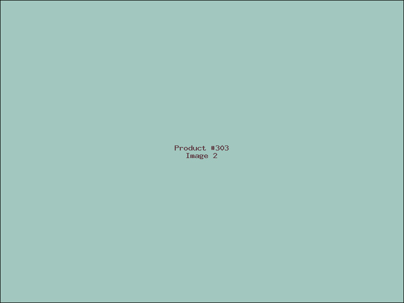Example Product 303 - Image 2