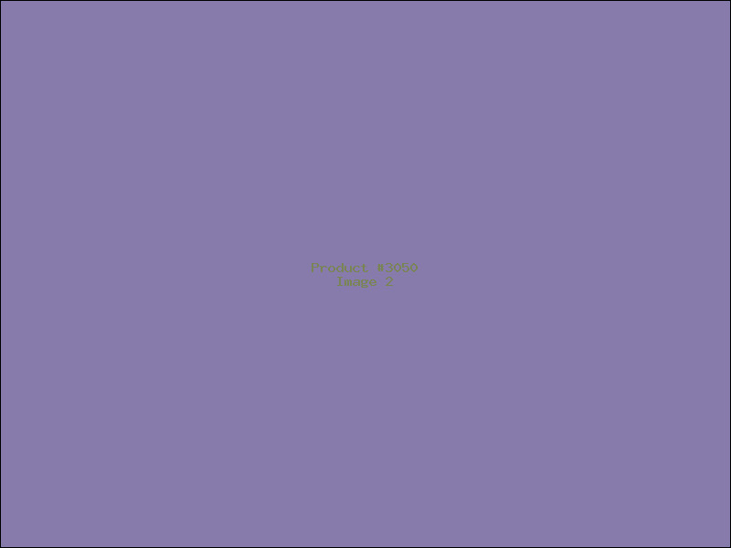 Example Product 3050 - Image 2