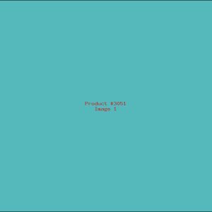 Example Product 3051