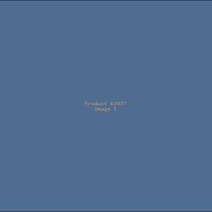Example Product 3077