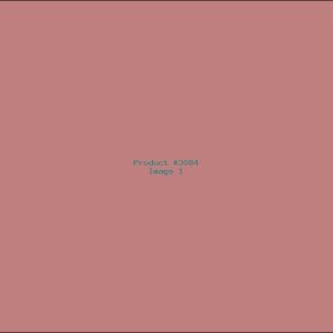 Example Product 3084