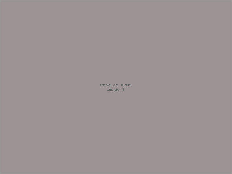 Example Product 309