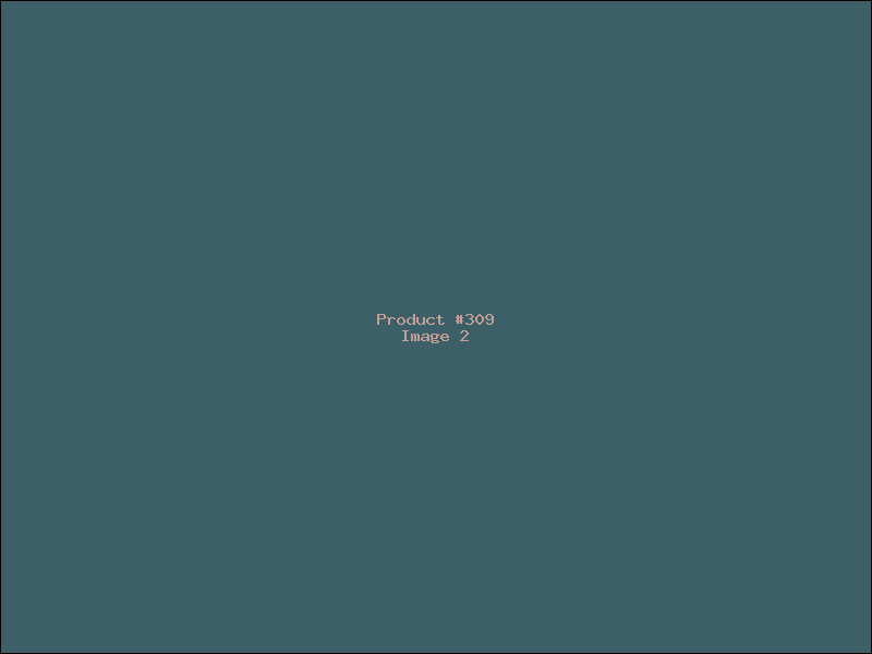 Example Product 309 - Image 2