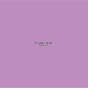 Example Product 3090