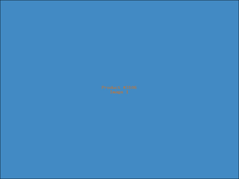 Example Product 3106