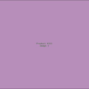 Example Product 311
