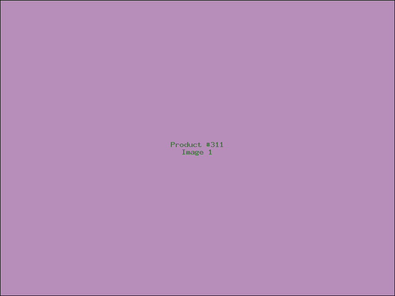 Example Product 311