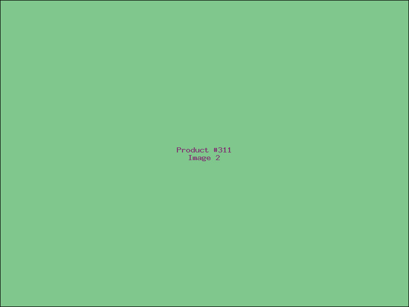 Example Product 311 - Image 2