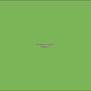 Example Product 3111
