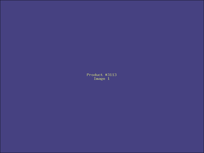 Example Product 3113