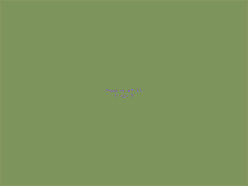 Example Product 3113 - Image 2