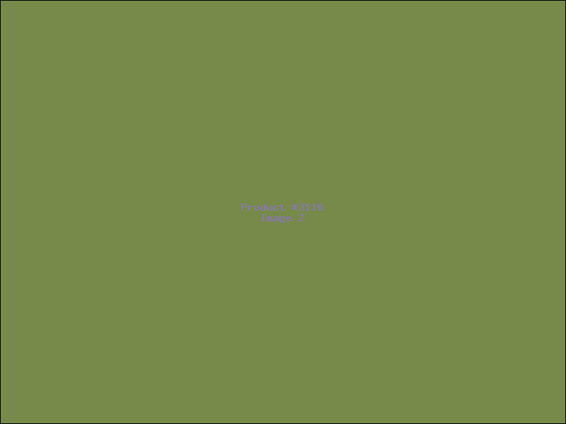 Example Product 3116 - Image 2