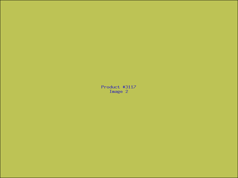 Example Product 3117 - Image 2