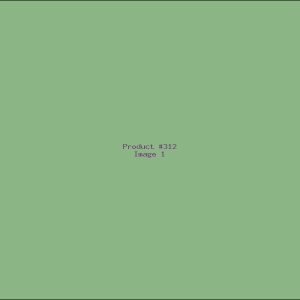 Example Product 312