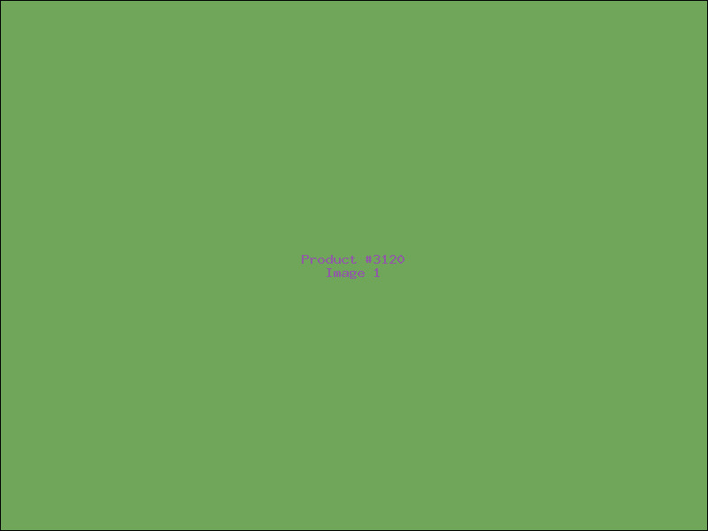 Example Product 3120