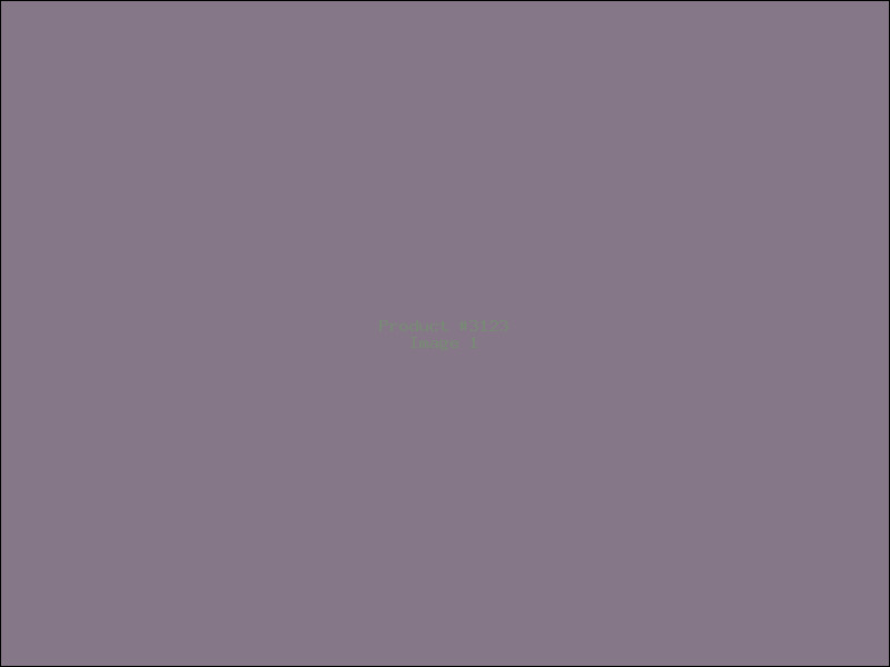 Example Product 3123