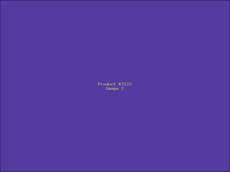 Example Product 3123 - Image 2