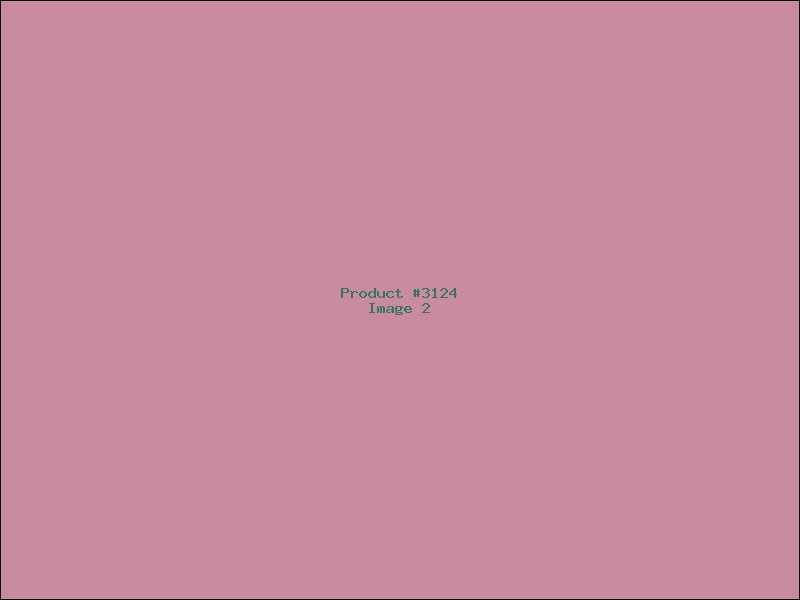 Example Product 3124 - Image 2