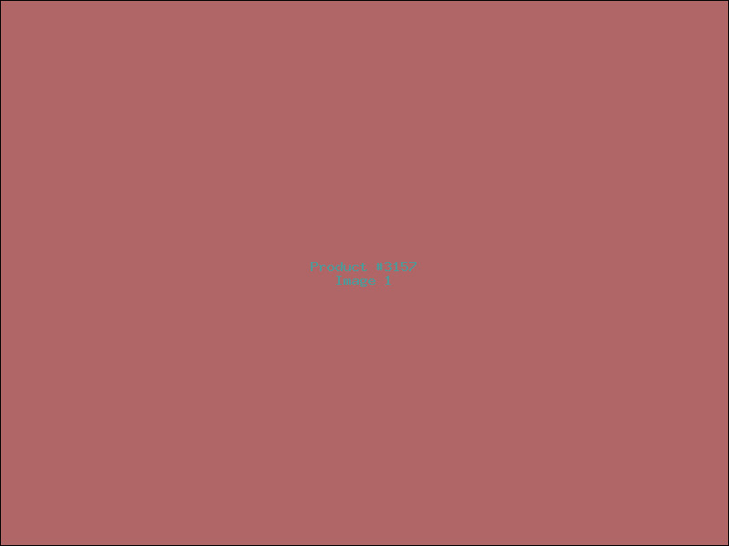Example Product 3157