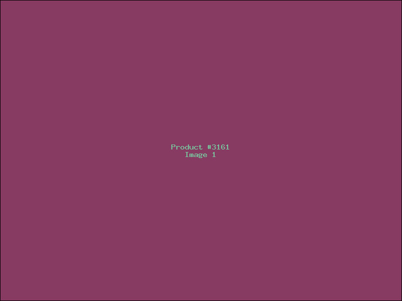 Example Product 3161