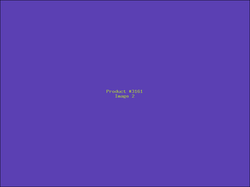 Example Product 3161 - Image 2