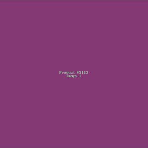 Example Product 3163
