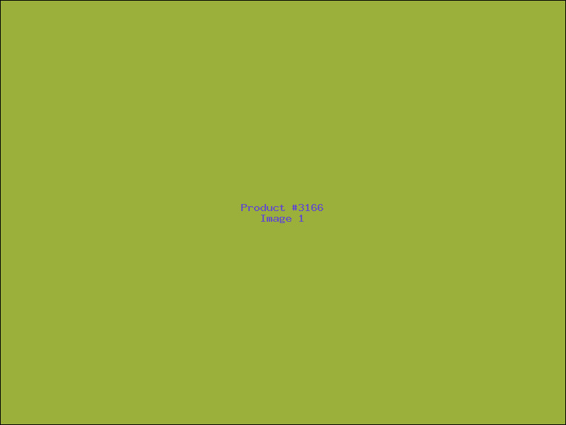 Example Product 3166