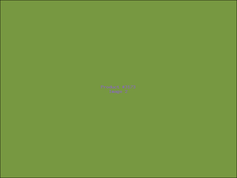 Example Product 3173 - Image 2