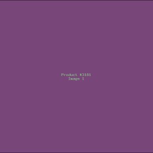 Example Product 3181
