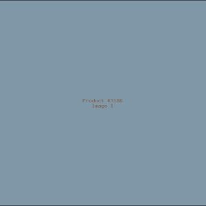 Example Product 3186