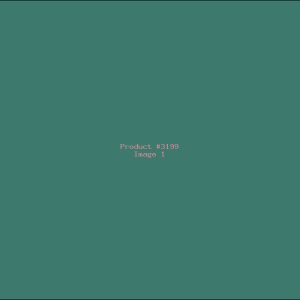Example Product 3199