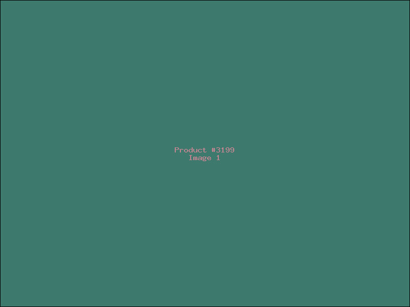 Example Product 3199