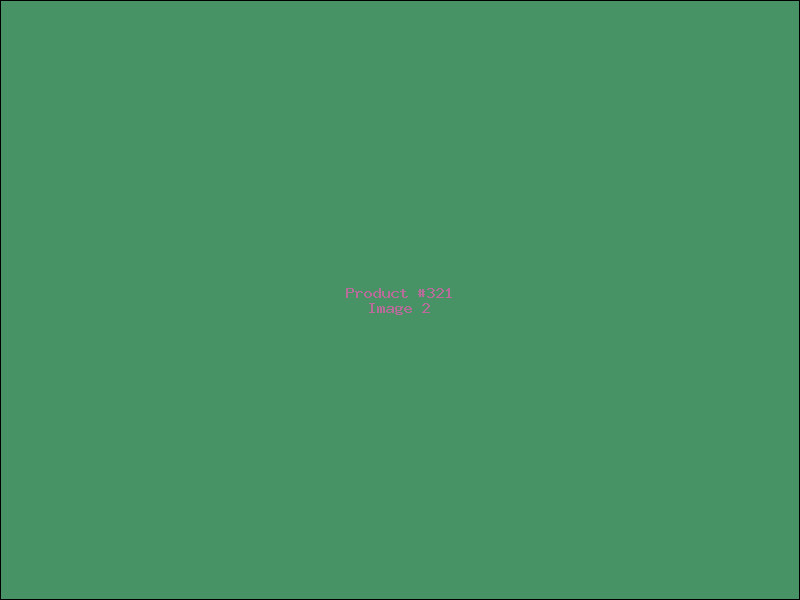 Example Product 321 - Image 2