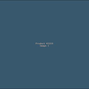 Example Product 3219