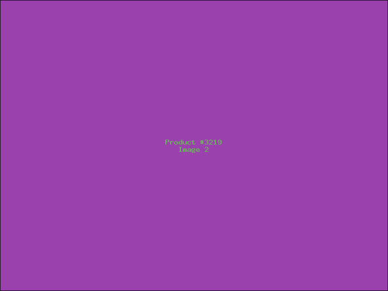 Example Product 3219 - Image 2