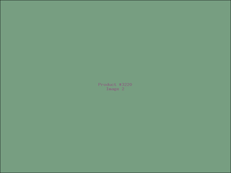 Example Product 3220 - Image 2