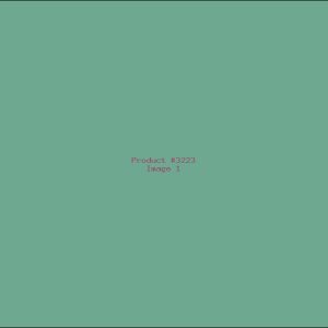 Example Product 3223