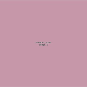 Example Product 323