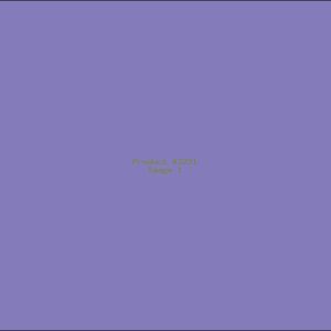 Example Product 3231