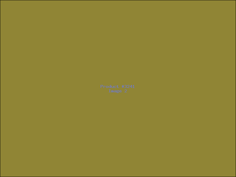 Example Product 3241 - Image 2