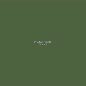 Example Product 3242